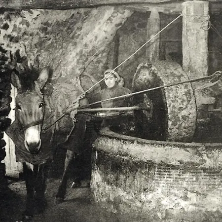 Amazing View Сasa de vacaciones