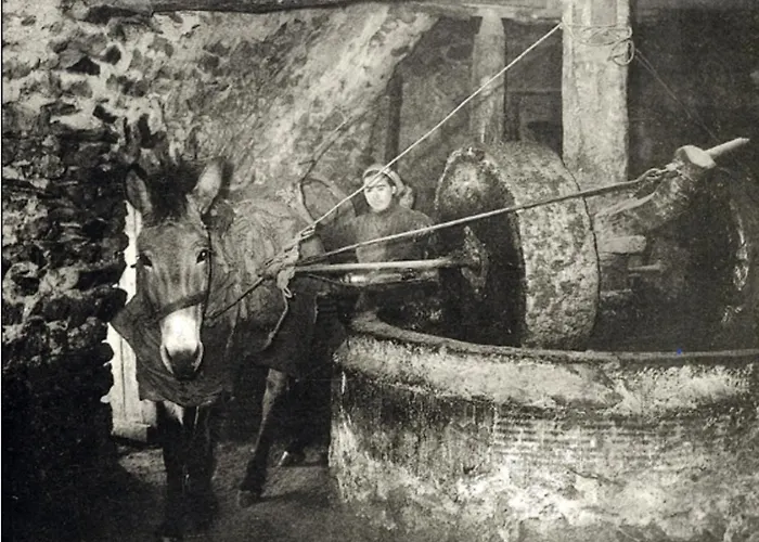 Amazing View Nyaraló