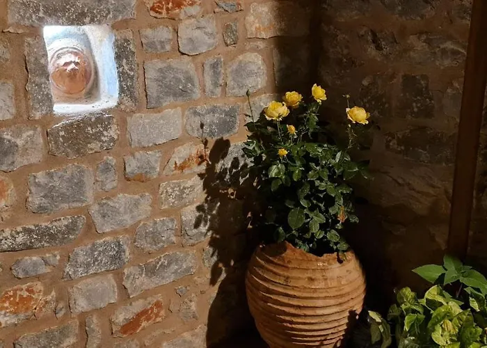 Amazing View * Kokála